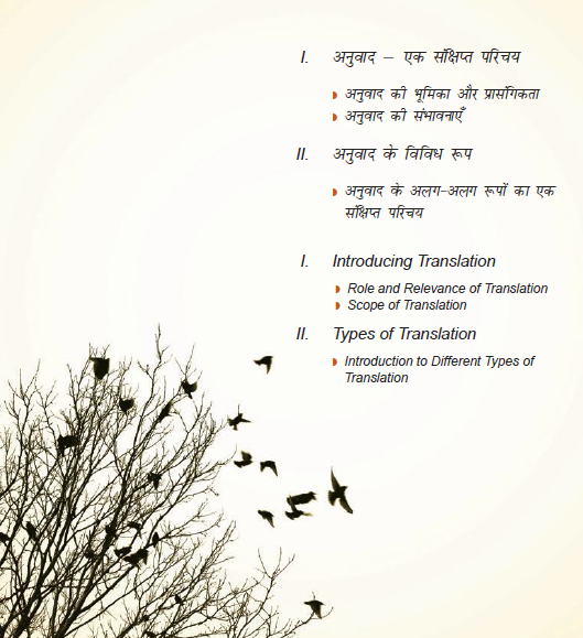 ruchira class 8 chapter 11 hindi anuvad